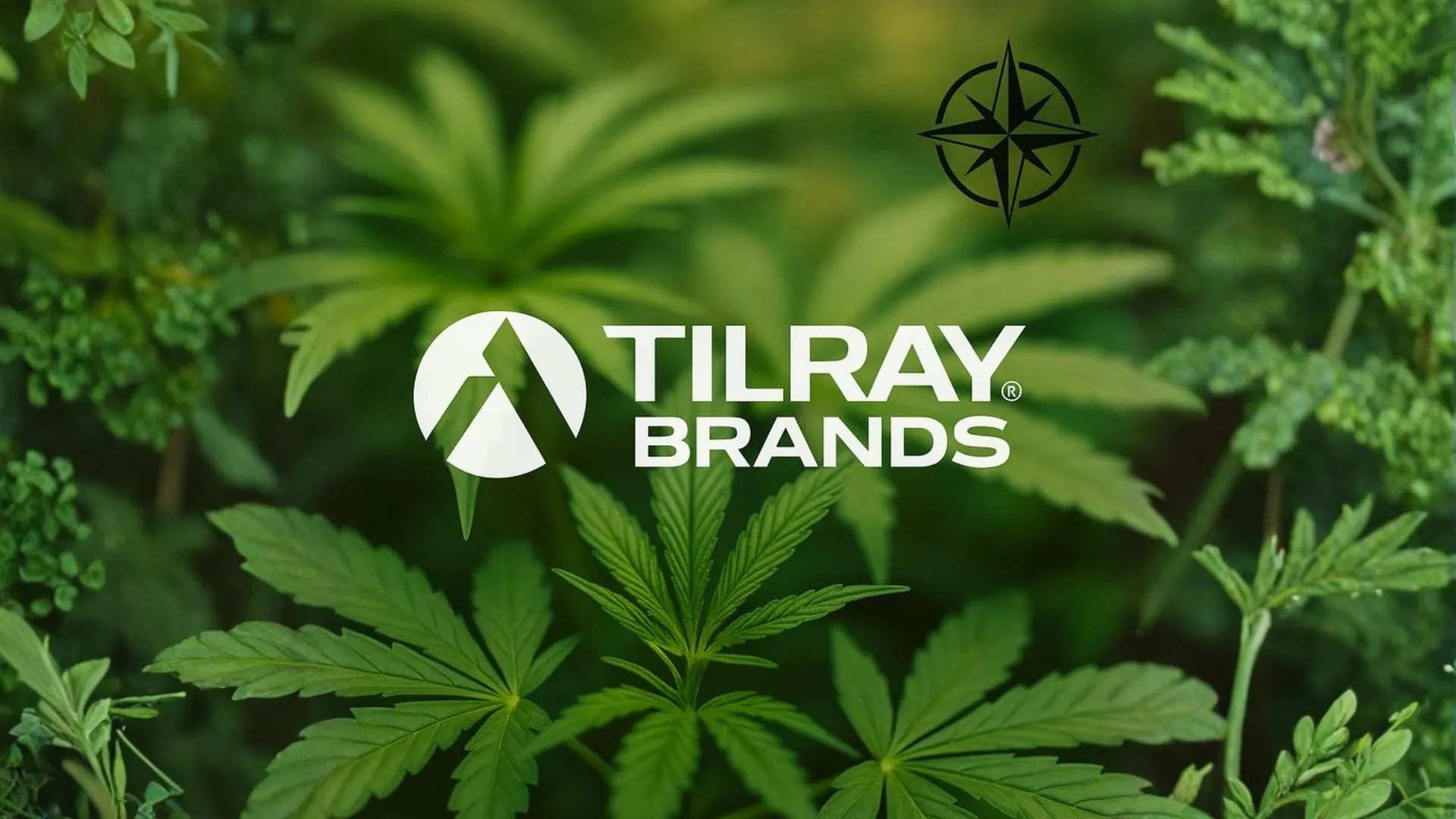 TLRY Stock Northwise
