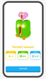 Duolingo App Lesson