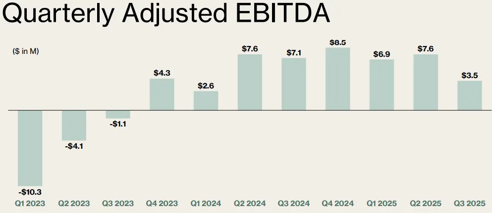HNST Quarterly Adjusted EBITDA